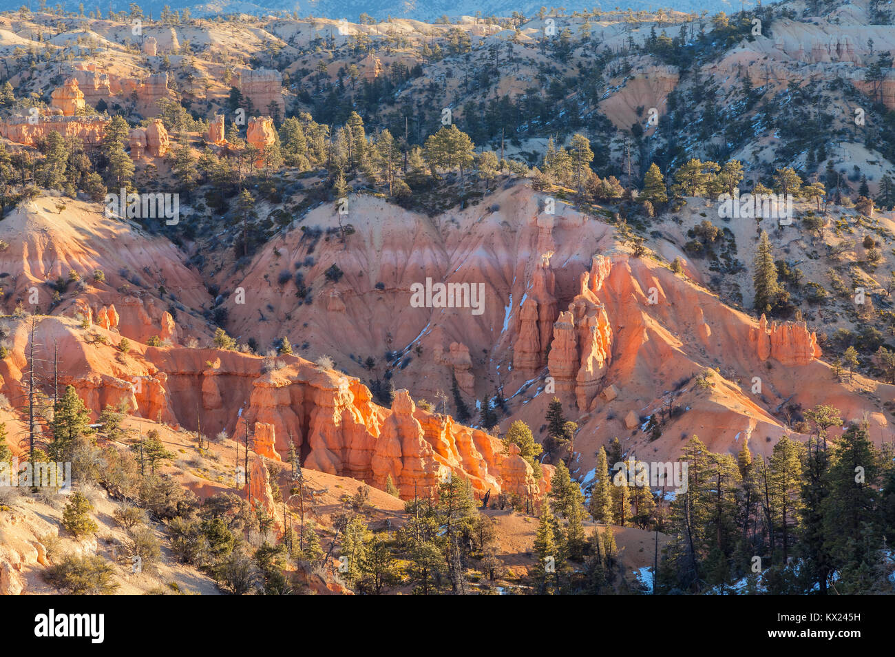 Die Landschaft des amerikanischen Südwestens im Fairyland Canyon Bryce Canyon National Park, Utah, United States. Stockfoto