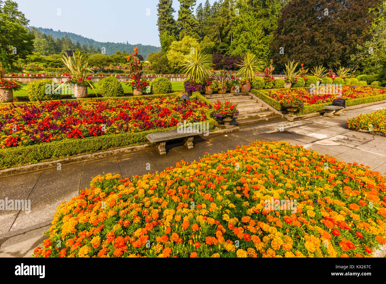 Die Butchart Gärten in Victoria, British Columbia, Kanada eine National Historic Site von Kanada Stockfoto