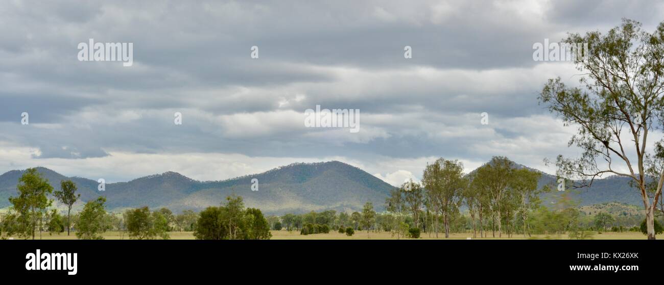 Ländliche Szenen aus dem australischen Landschaften, Queensland, Australien Stockfoto