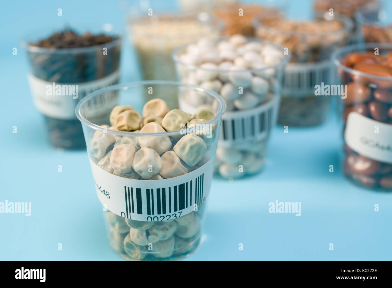 Saatgut für landwirtschaftliche Pflanzen im Reagenzglas mit Barcodes im Labor Stockfoto