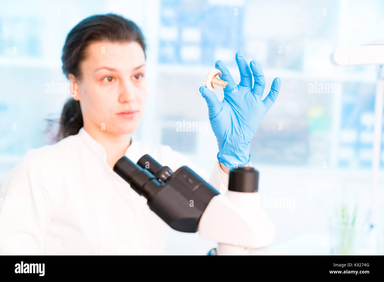 Junge weibliche Techniker im Labor von der Kontrolle der Nahrungsmittelqualität Stockfoto