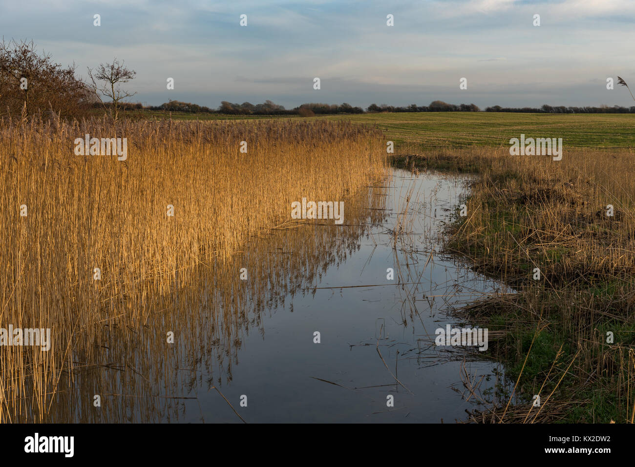 Gezeiten Deich in der Nähe von Fell Wände farm Stalmine Stockfoto