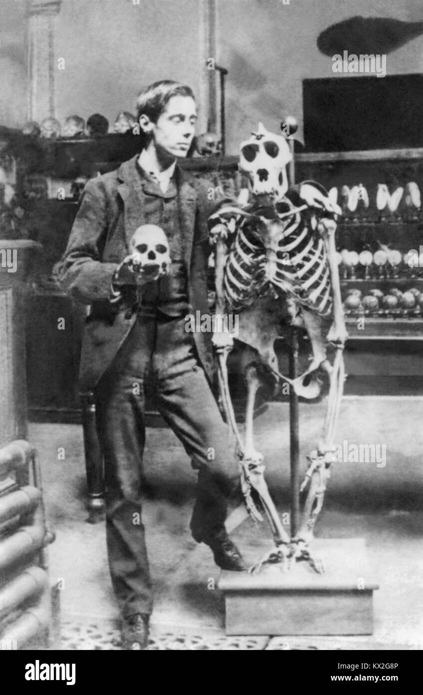 Junge H.G. Wells (1866-1946) posiert mit Totenkopf und Skelett. Foto ca. Mitte der 1880er Jahre, wahrscheinlich während studing Biologie an der normalen Schule der Wissenschaft (später der Königlichen Akademie der Wissenschaften in South Kensington) in London unter Thomas Henry Huxley. Stockfoto