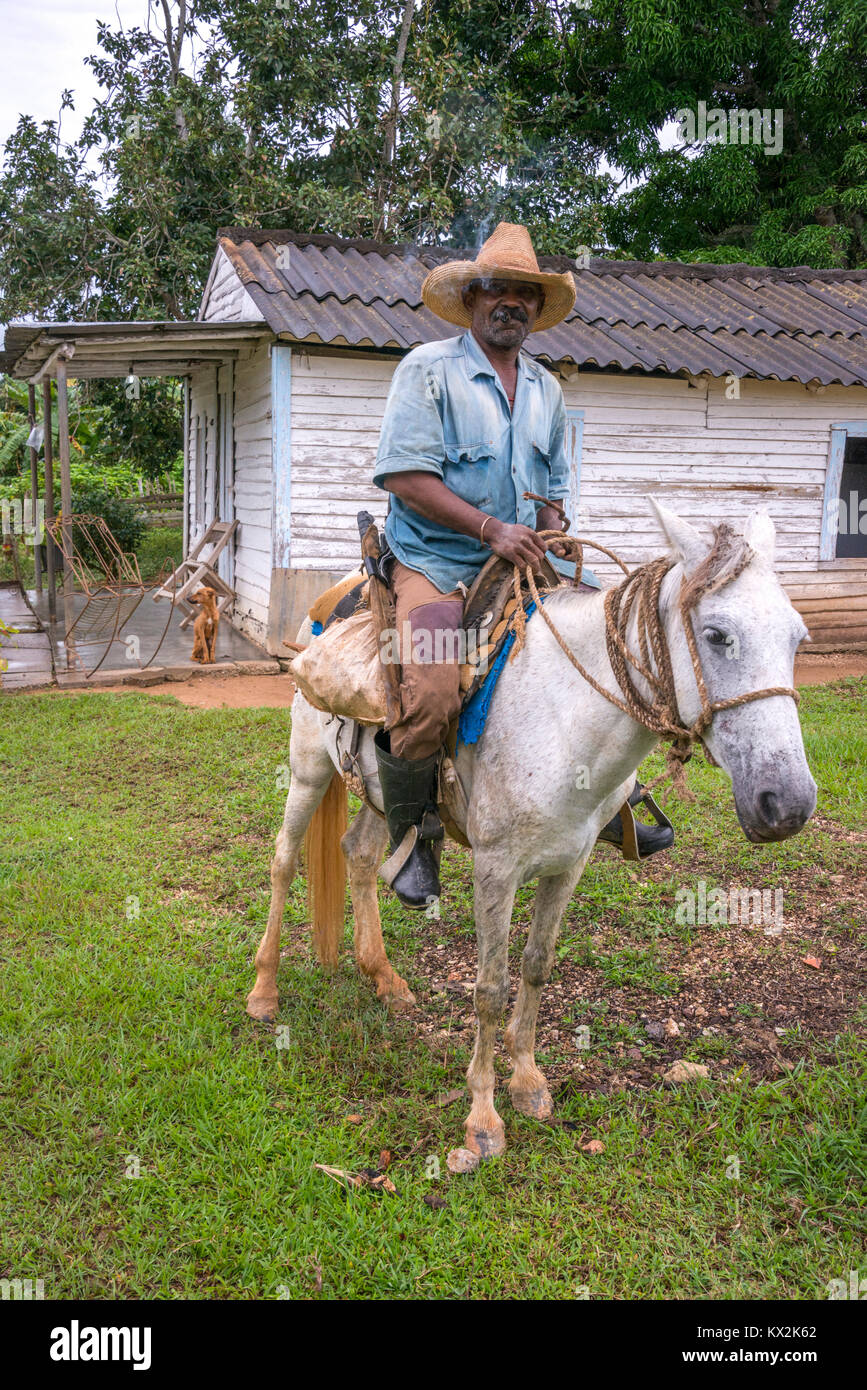 Kreolischen Bauern auf dem Pferd, in der Region Pinar del Río, Kuba Stockfoto