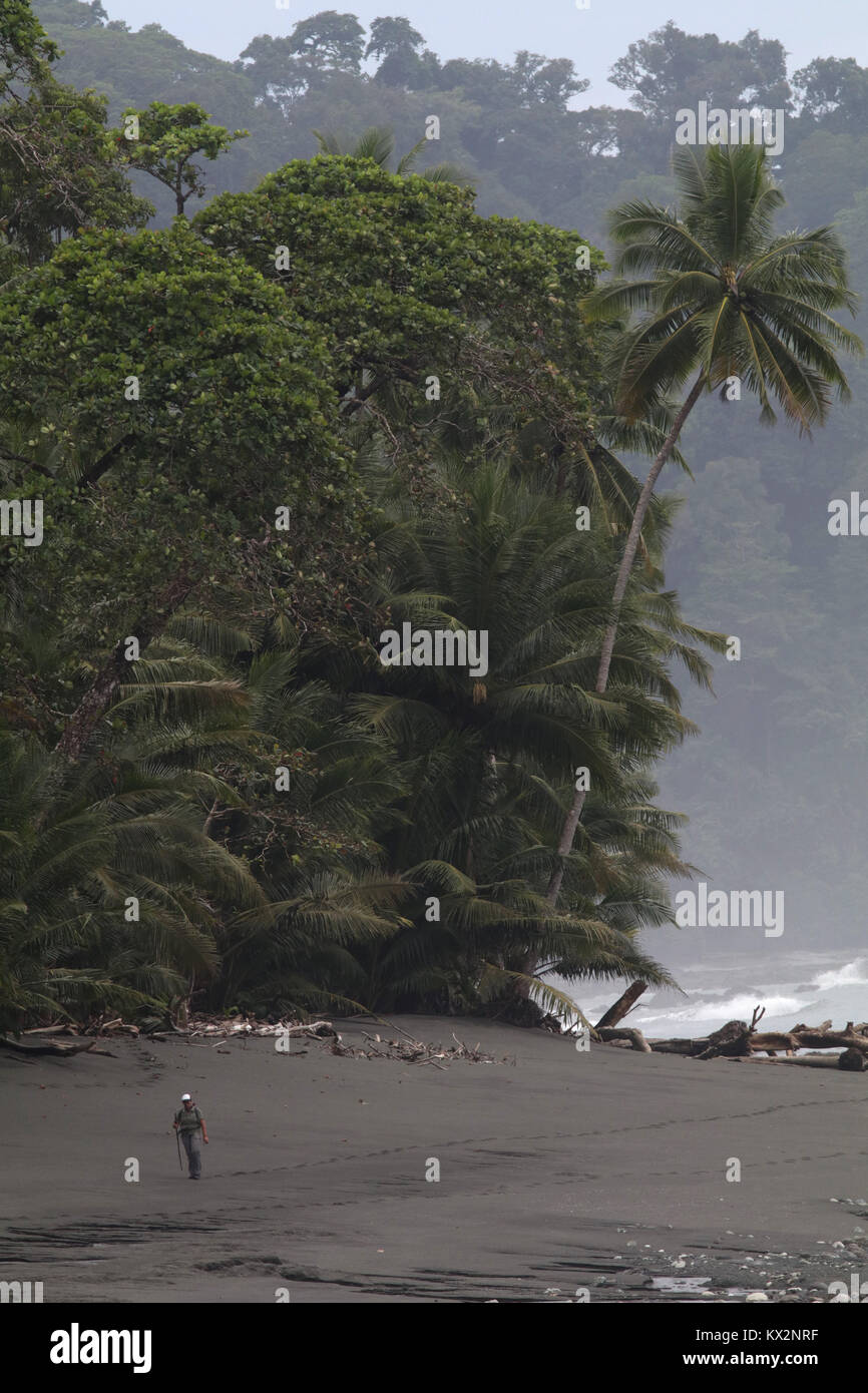 Wanderer am Strand Corcovado Nationalpark Costa Rica Osa Halbinsel Stockfoto