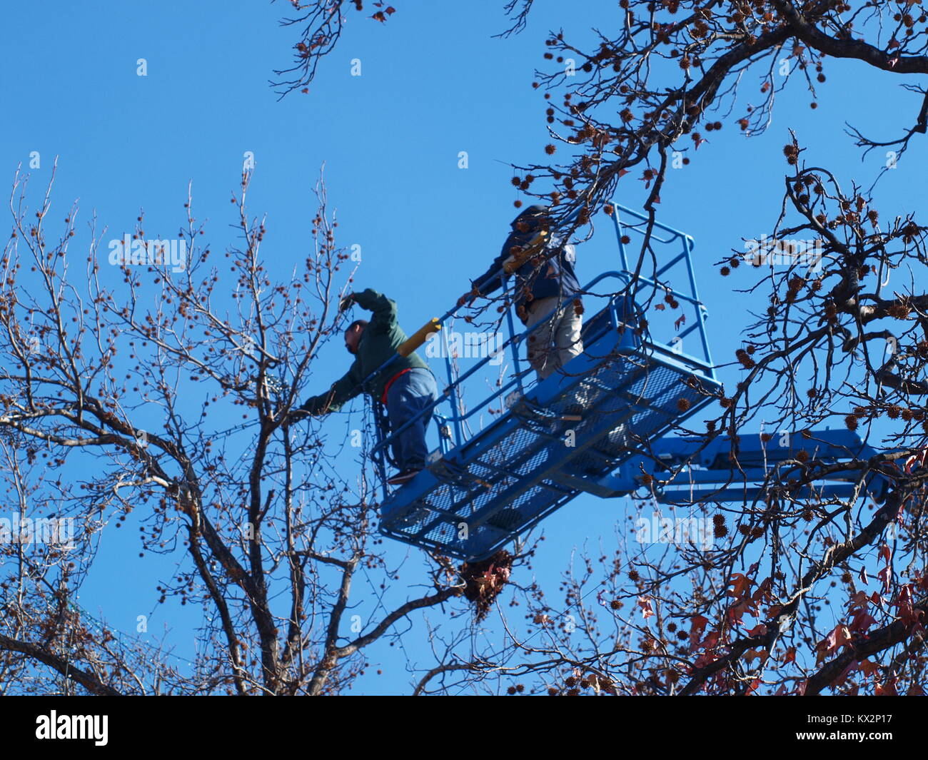 Weihnachtsbeleuchtung in Garland's Kommen Stockfoto