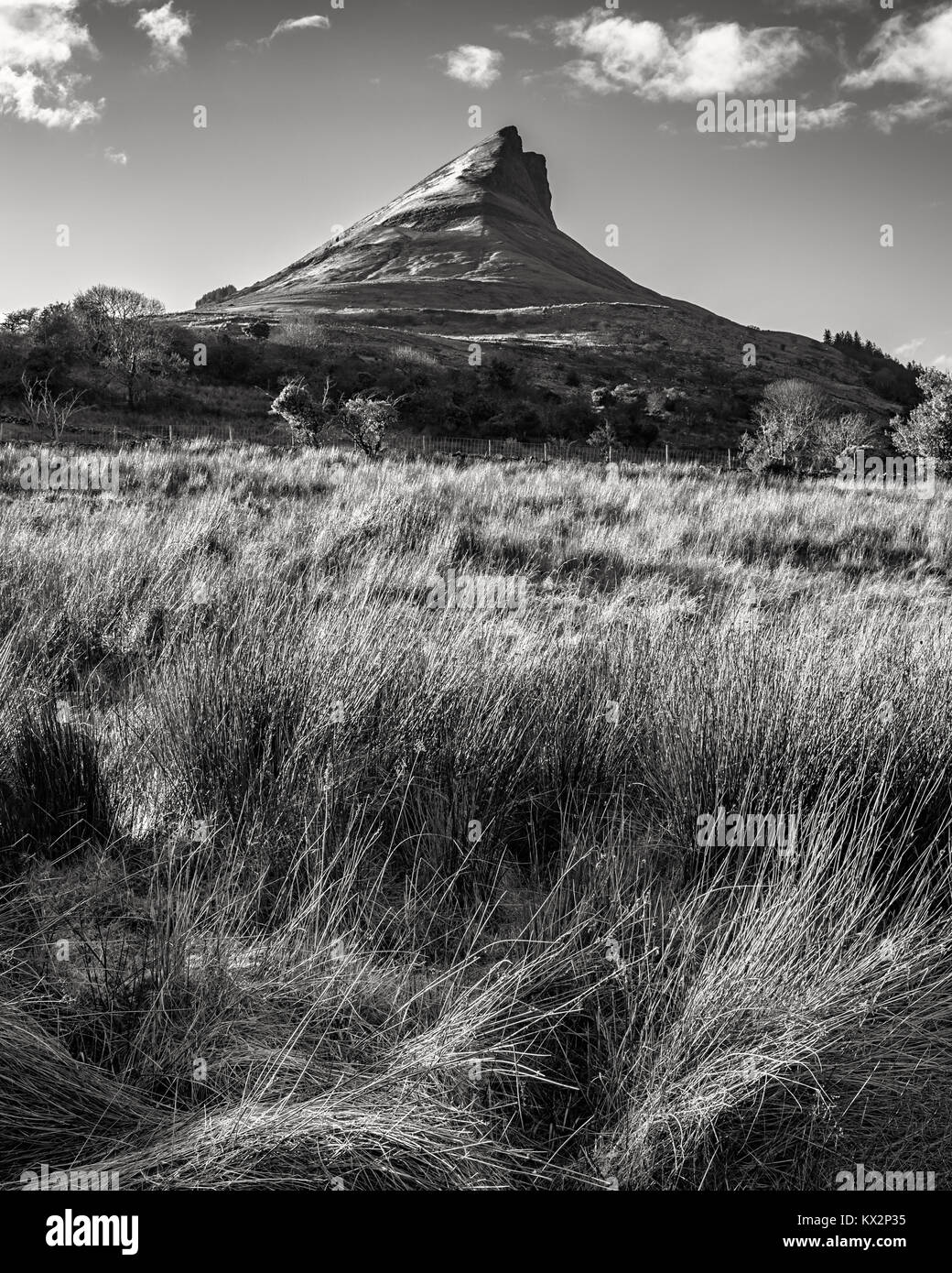 Benwiskin Berg in Sligo - Irland Stockfoto