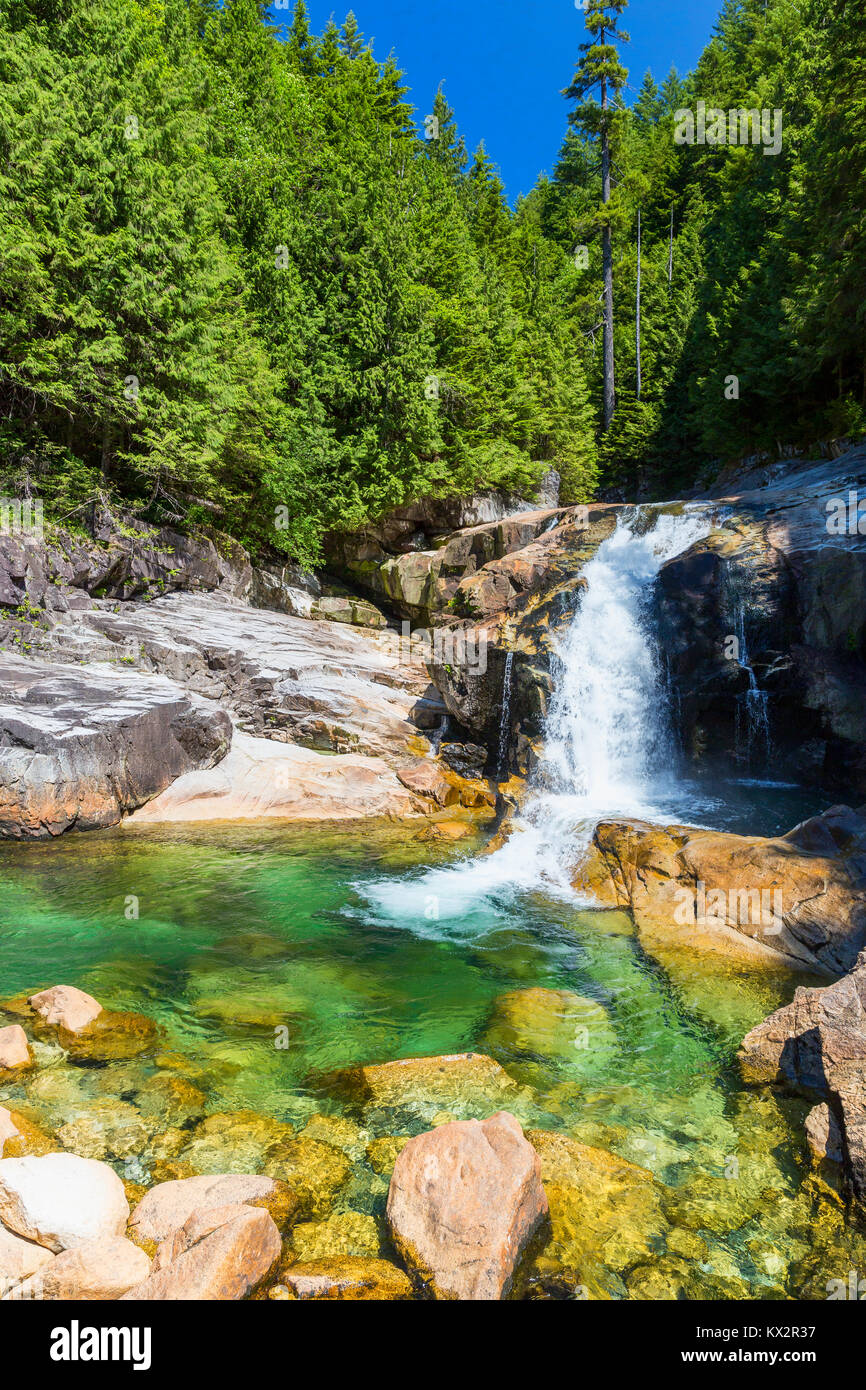 Lynn Canyon Park Wasserfall, Britisch Kolumbien, Kanada Stockfoto