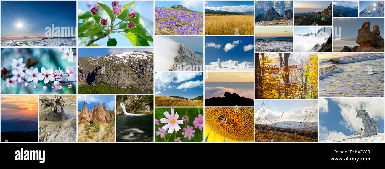 Collage aus verschiedenen Natur Fotos in verschiedenen Jahreszeiten, Seitenverhältnis für soziales Netzwerk cover photo Stockfoto