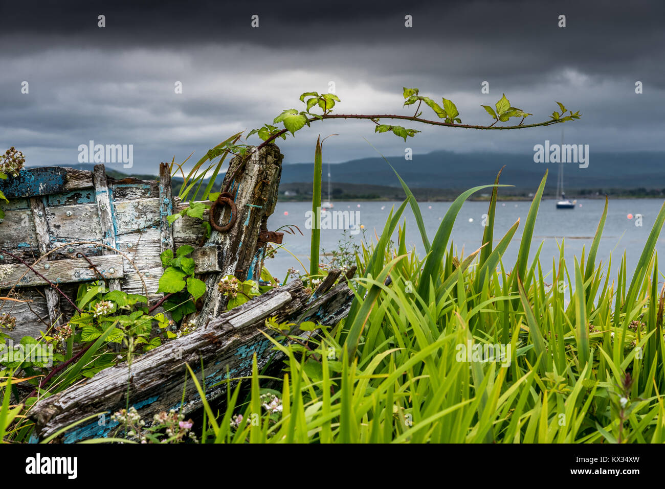Das Wrack eines alten hölzernen Angeln Boot ist in der Vegetation irgendwo an der Küste in der Nähe des Hafens von Roundstone begraben in Connemara, Irland Stockfoto