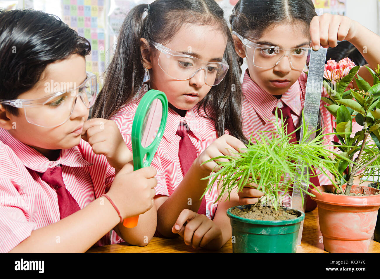 Schule Kinder Studenten Lineal messen Pflanze Kontrolle Umwelt - Besorgnis Stockfoto
