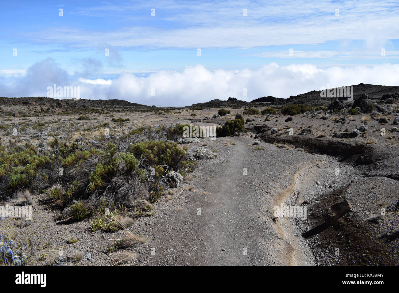 Kilimanjaro, Tansania, 2017 Stockfoto