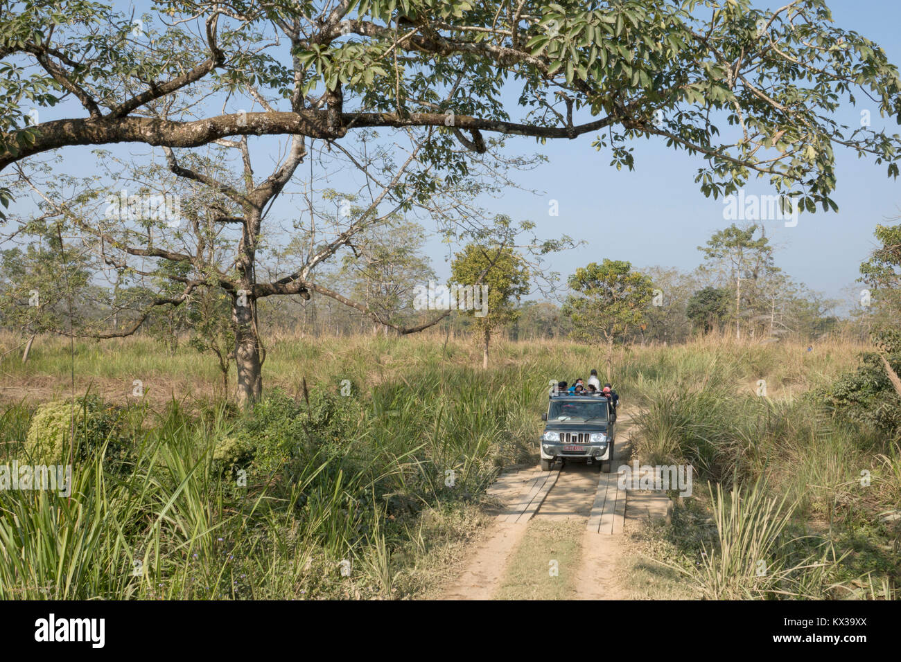 Jeep Safari im Chitwan Nationalpark, Nepal Stockfoto