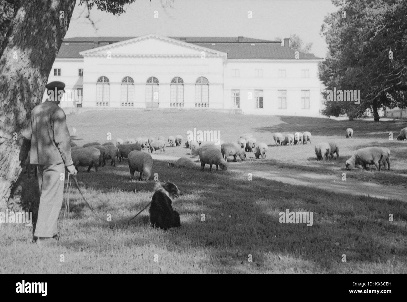 Ein historisches Foto, das vorbereitende Landschaftsarbeiten im Drottningholm Palace Park in der Nähe von Stockholm, Schweden, zeigt, wie Gartenplanung, Layout und historische Architektur aussehen. Stockfoto