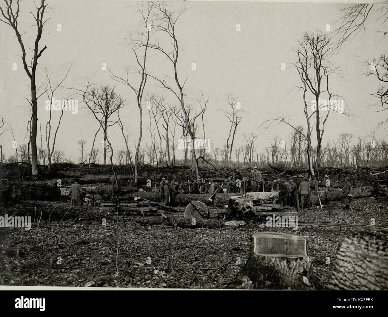 Dieses historische Foto zeigt russische Kriegsgefangene, die während des Ersten Weltkriegs Eichenbalken auf Schmalspurwagen verladen. Es dokumentiert die Zwangsarbeitspraktiken des deutschen Militärs und gibt Einblicke in die Kriegslogistik und die menschlichen Bedingungen. Stockfoto