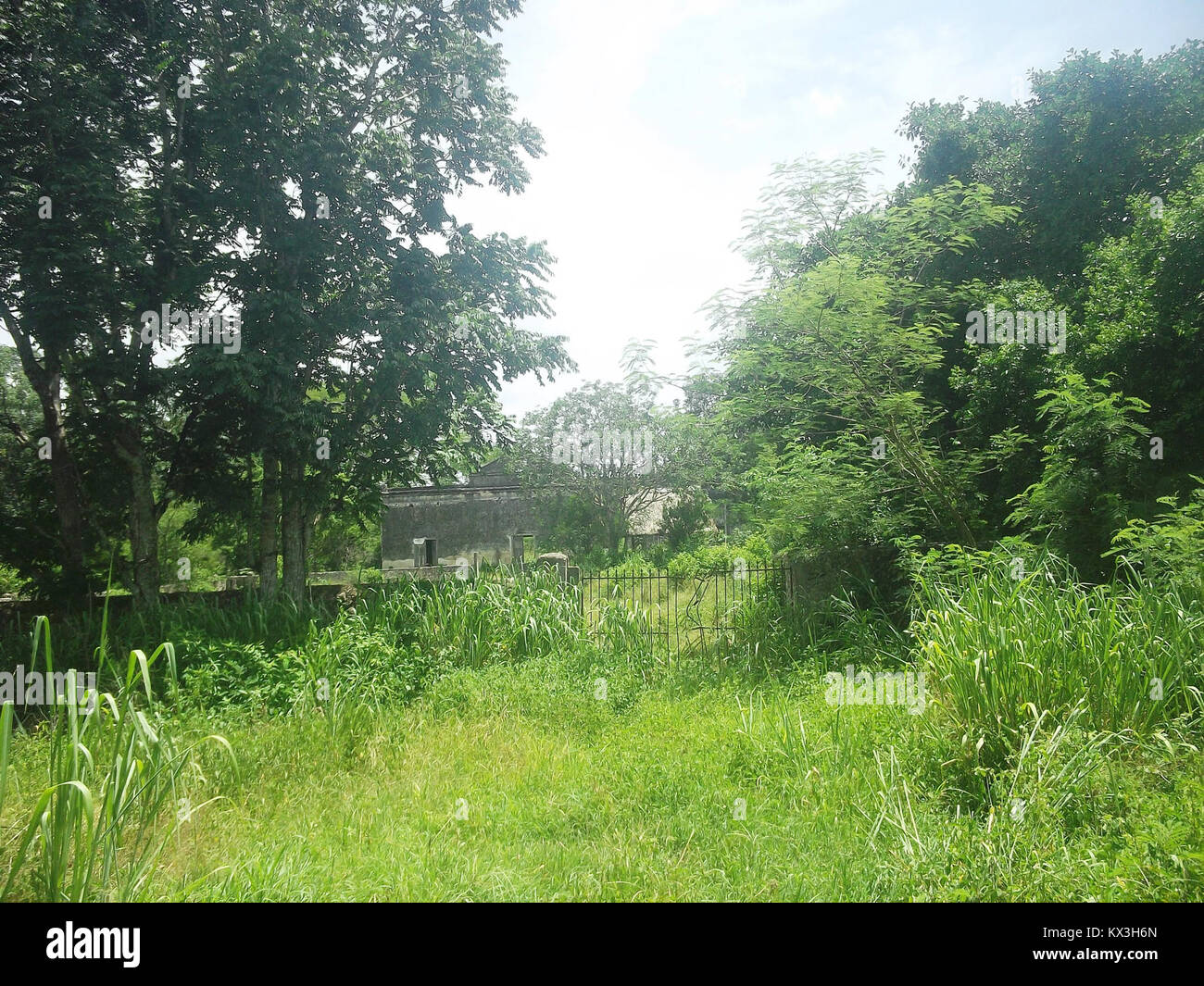 Foto von Bella Flor in Kinchil, Yucatán, Mexiko, mit regionaler Architektur und Landschaft, die für die kulturellen und ökologischen Besonderheiten der Halbinsel Yucatán repräsentativ sind. Stockfoto