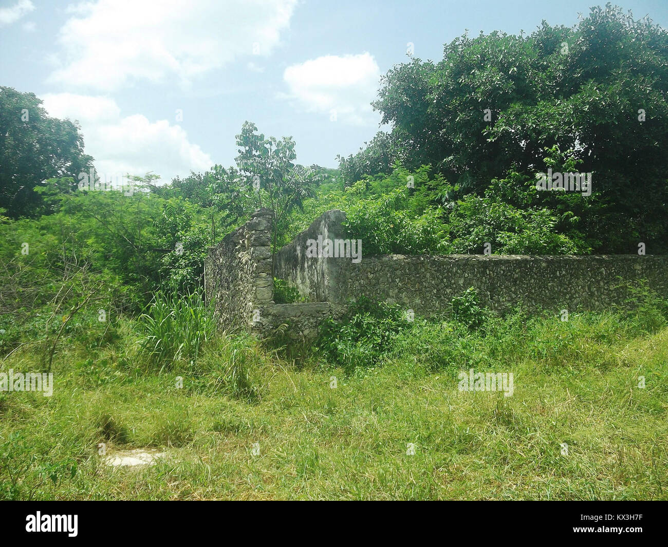 Bella Flor ist eine Siedlung in Kinchil, Yucatán, Mexiko, die für ihr Maya-Erbe, ihre traditionelle Kultur, ihre landwirtschaftliche Tätigkeit und ihre regionale historische Bedeutung bekannt ist. Stockfoto
