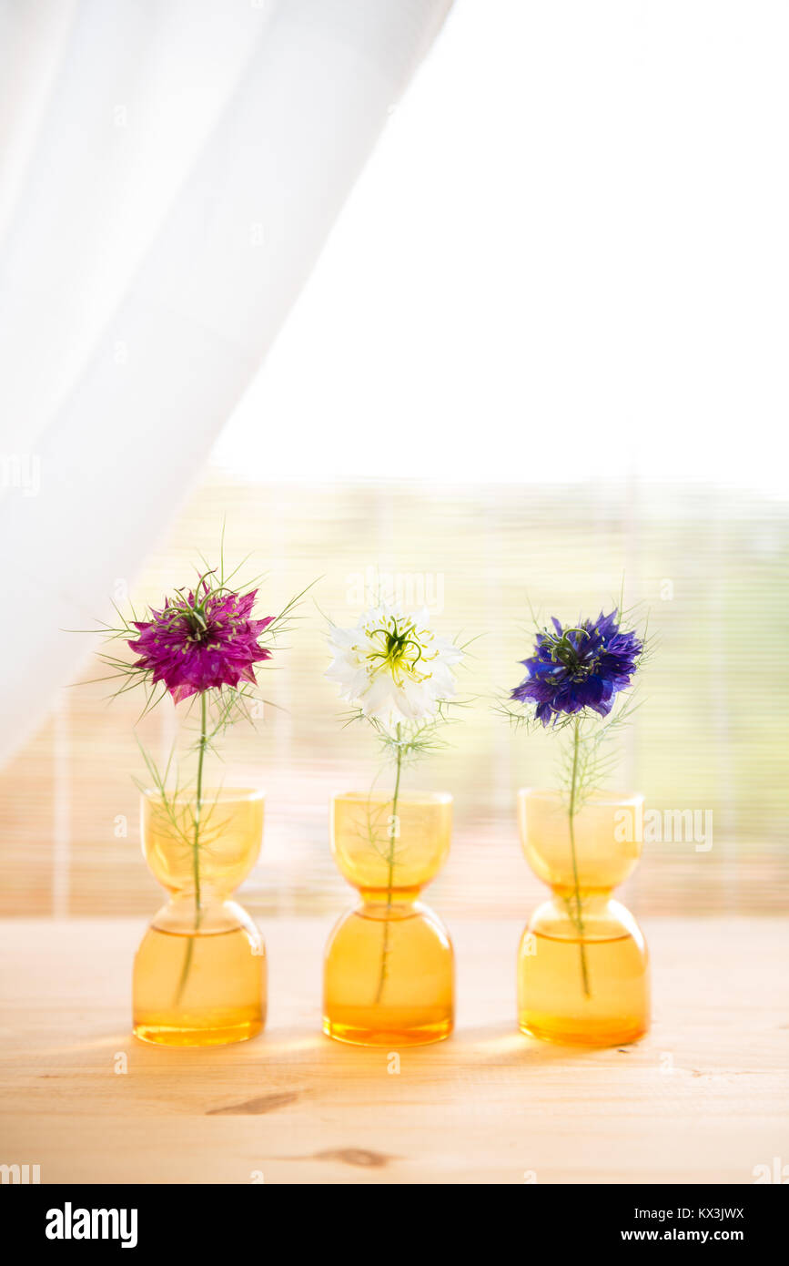 Drei Blumen auf Vasen lon eine Tabelle Stockfoto