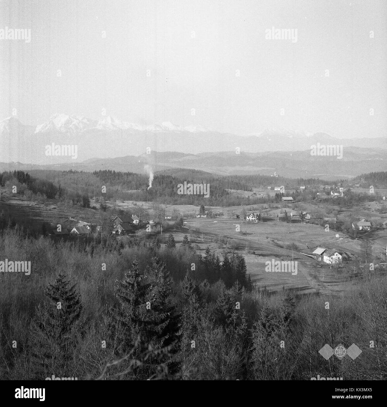 Dieses Foto aus dem Jahr 1964 zeigt einen Zug auf der slowenischen Eisenbahn und zeigt das Verkehrsnetz und die Infrastruktur in der Region während dieser Zeit. Stockfoto