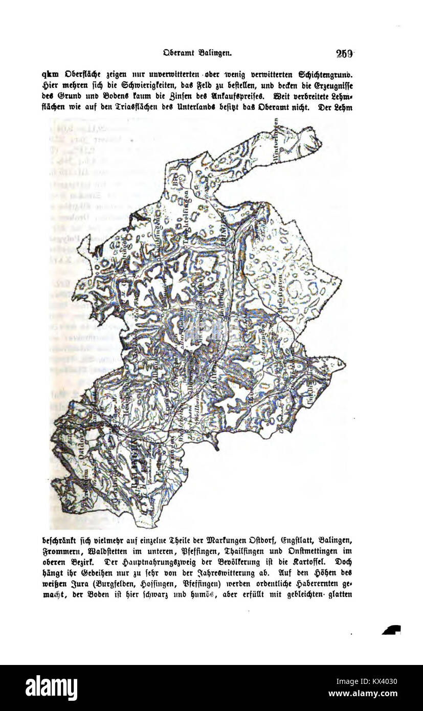 Diese historische Aufzeichnung aus dem Königreich Württemberg untersucht die politische Struktur und Regierungsführung während der Existenz des Königreichs und liefert detaillierte Darstellungen über die Verwaltungsorganisation und Führung. Stockfoto