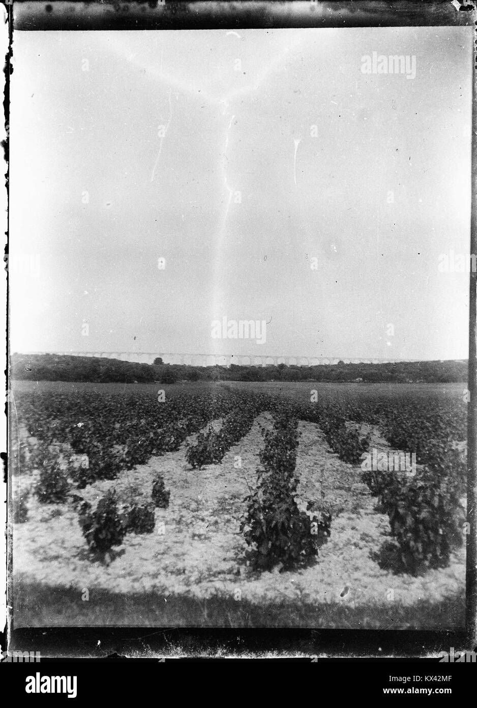 „Paysage“ aus der Berthel-Sammlung ist ein Landschaftsbild, das eine natürliche Umgebung darstellt, mit detaillierten Pinselarbeiten und realistischer Darstellung, die atmosphärische und szenische Elemente hervorhebt. Stockfoto