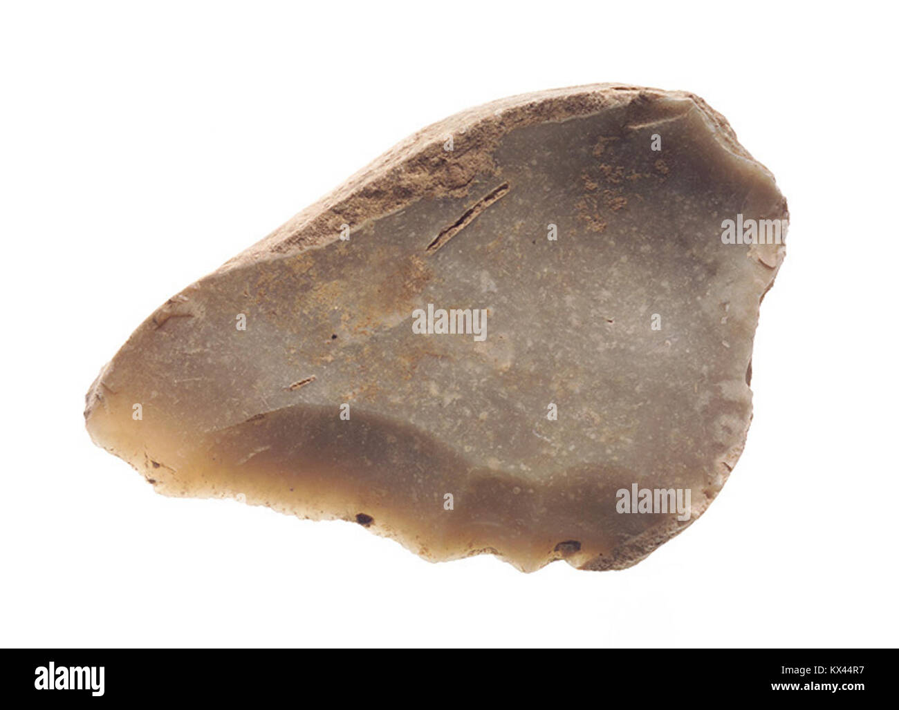 Foto eines Feuersteindentikulationswerkzeugs aus der unteren paläolithischen Zeit, ausgestellt im Musée de Bretagne, Frankreich. Stockfoto