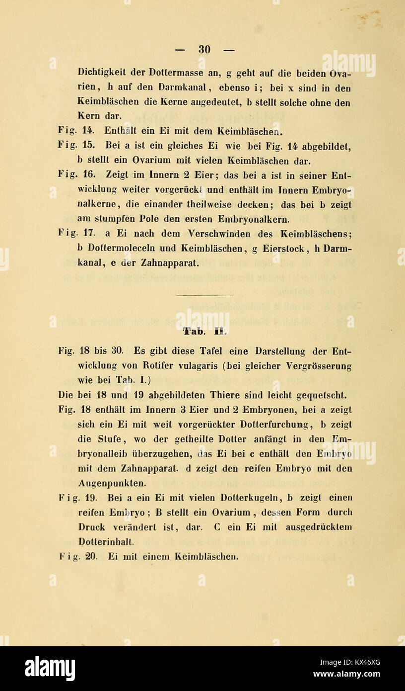 Die Studie über Riederthiere erforscht die Evolutionsgeschichte dieser alten Tiergruppe und unterstützt die paläontologische Forschung an ausgestorbenen Arten. Stockfoto