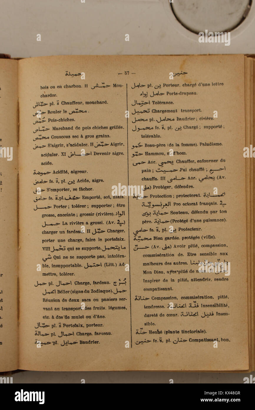 Die Seite „Arabisch-Französisch Wörterbuch“ von Alfred Nicolas aus dem Jahr 1938 enthält arabische Begriffe mit französischer Übersetzung, Aussprache und Anwendungsbeispielen zur wissenschaftlichen Referenz. Stockfoto