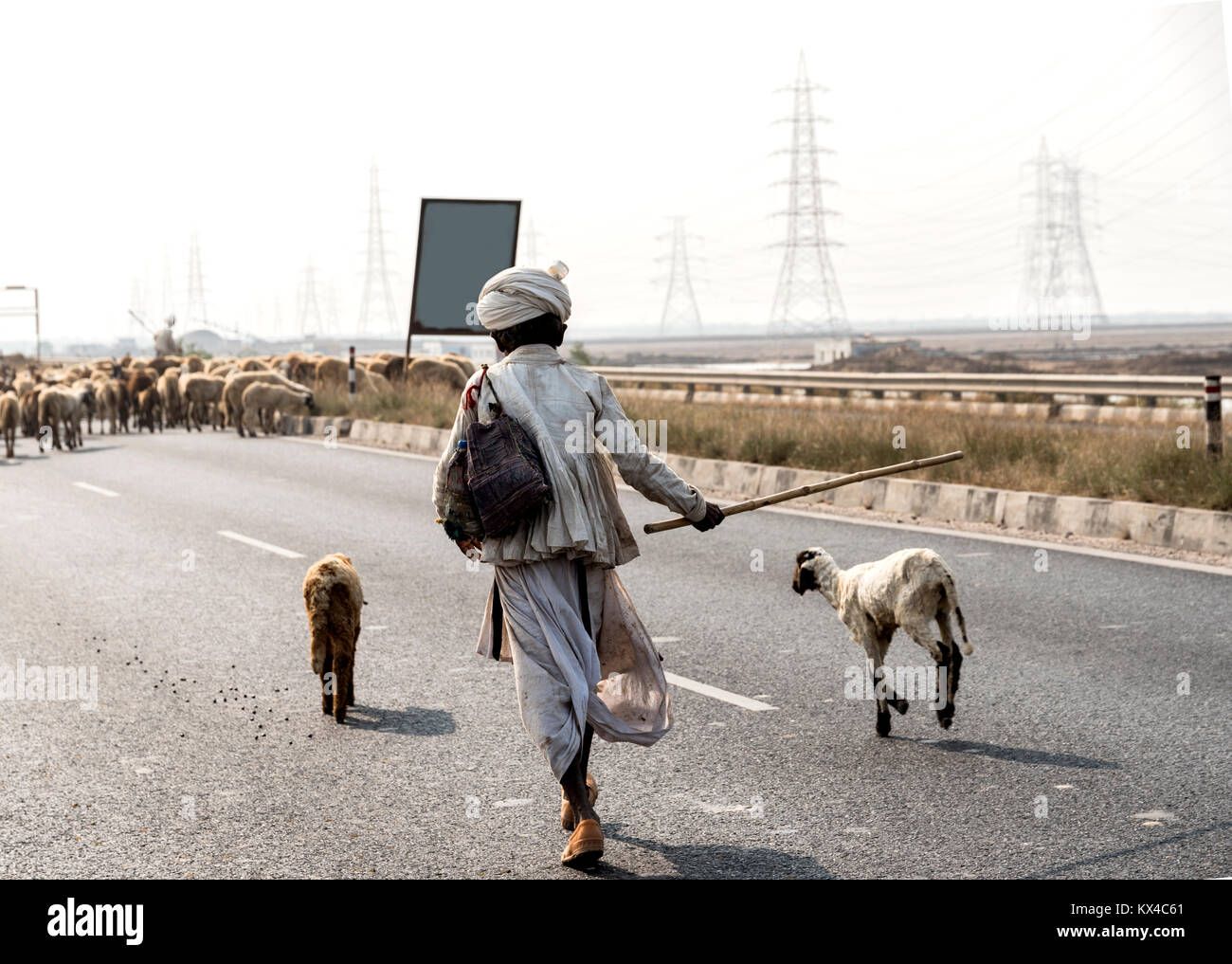 Hirte mit Schaf auf Kutch highway Gujarat Indien Stockfoto