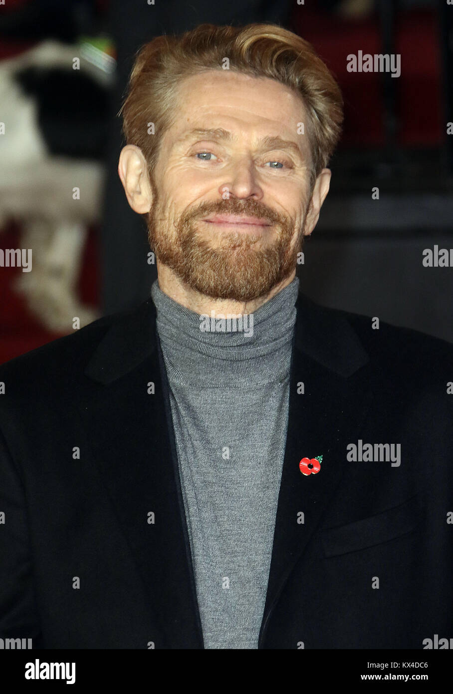 02.November 2017 - Willem Dafoe an 'Murder Im Orient Express' Weltpremiere, der Royal Albert Hall in London, England, Großbritannien Stockfoto