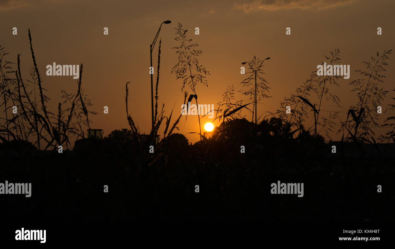 Sonnenuntergang unter den Schatten in Austin, Texas Stockfoto