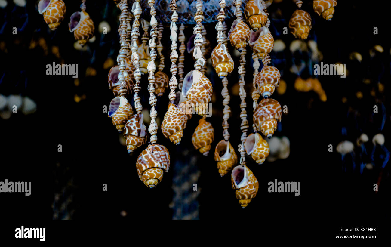 Dekorative aus Muscheln Stockfoto