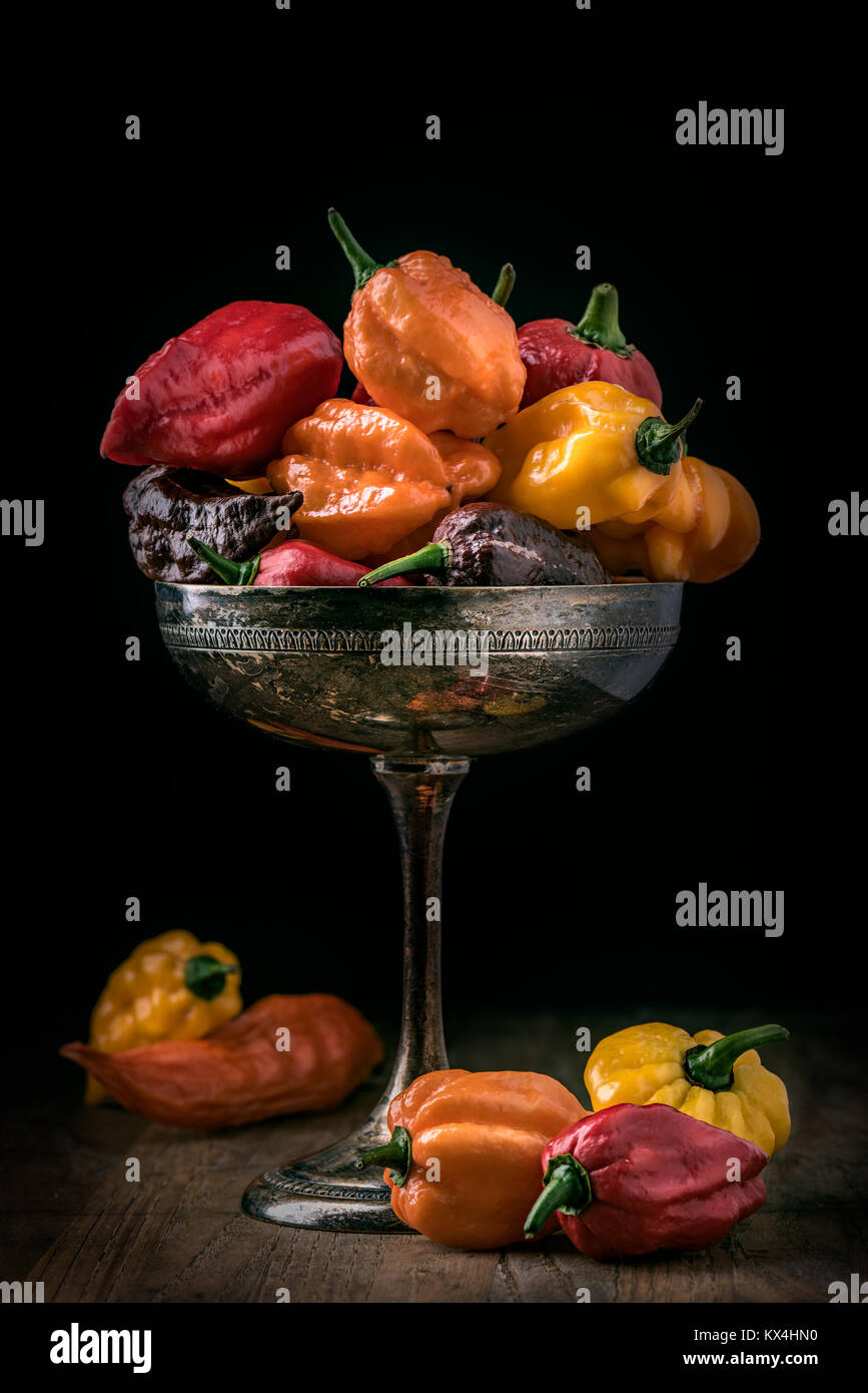 Verschiedene Arten von hot chili peppers auf Besteck auf schwarzem Hintergrund Stockfoto