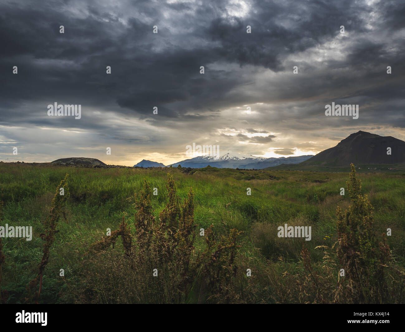 Nördliche Landschaft mit grünen Wiese und Berg, Island Stockfoto