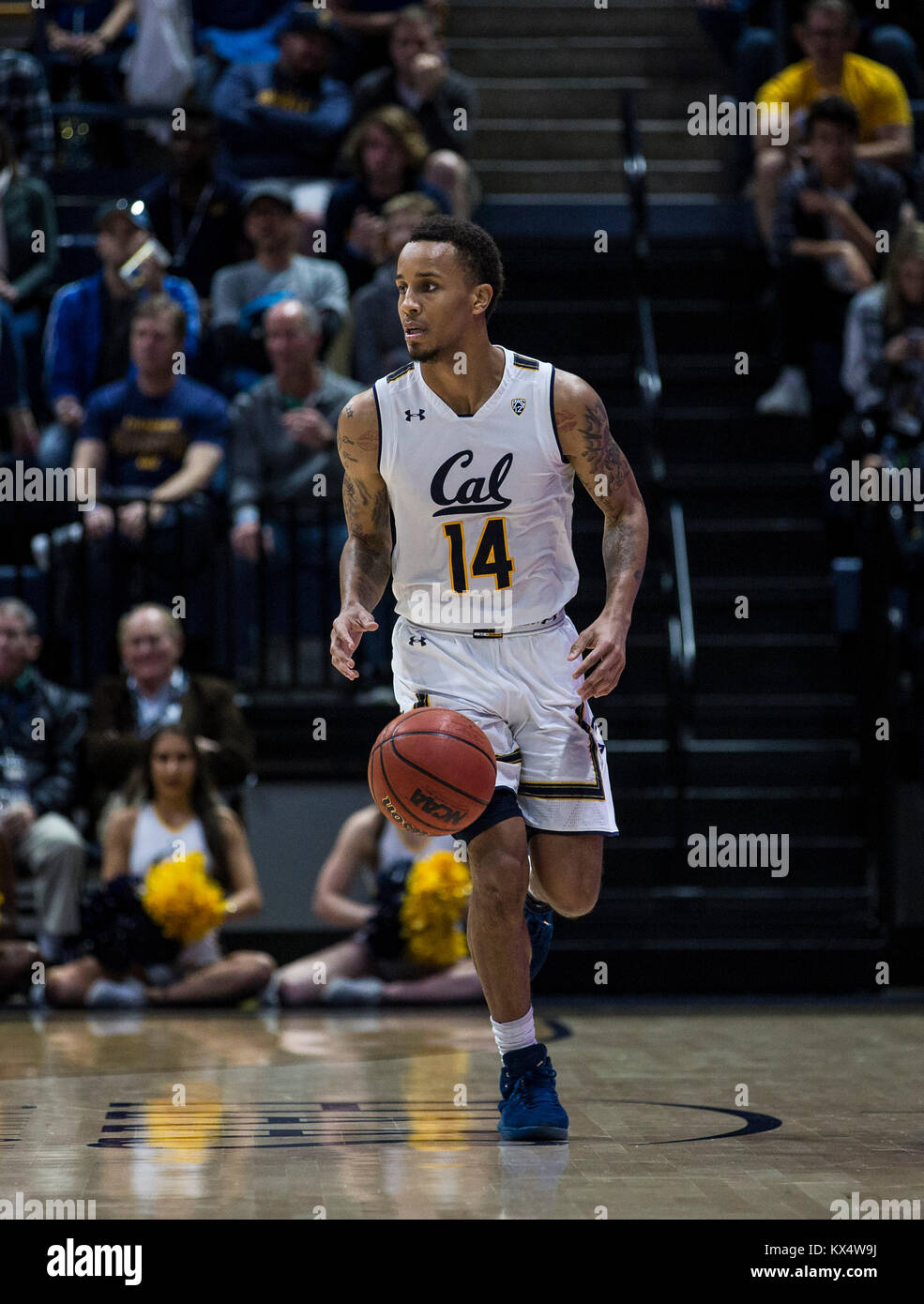 Hass Pavillon Berkeley Calif, USA. 06 Jan, 2018. CA USA Kalifornien guard Don Coleman (14) bringt den Ball Gericht während der NCAA Men's Basketball Spiel zwischen UCLA Bruins und die California Golden Bears 84-107 an Hass Pavillon Berkeley Calif Thurman James/CSM/Alamy Leben Nachrichten verloren Stockfoto