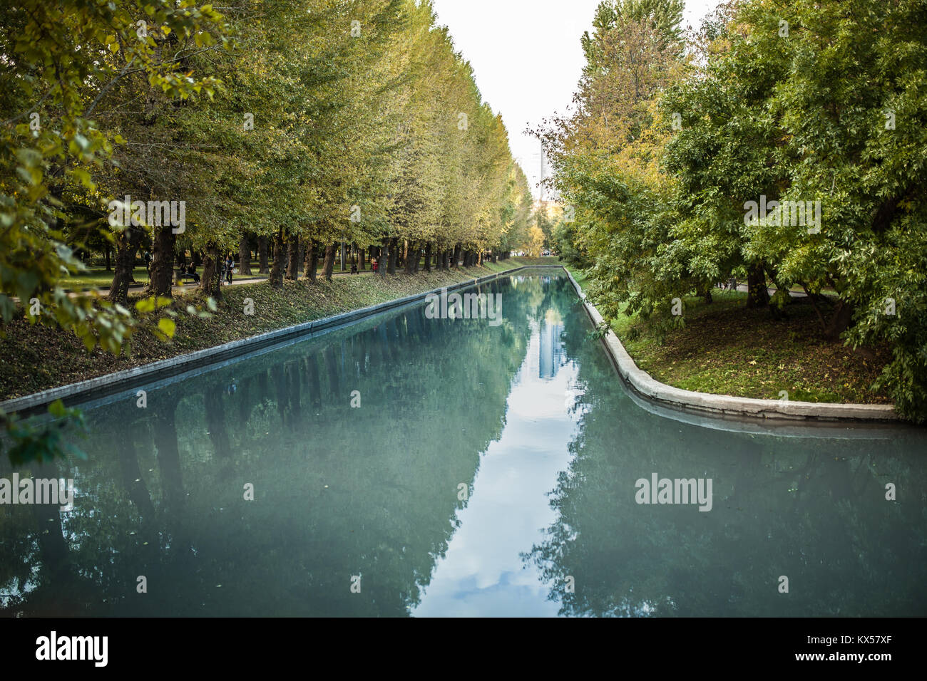 Gärten in den alten ausgetrockneten Flussbett des Turia Flusses Reflexion der Bäume in die künstliche Wasser Stockfoto