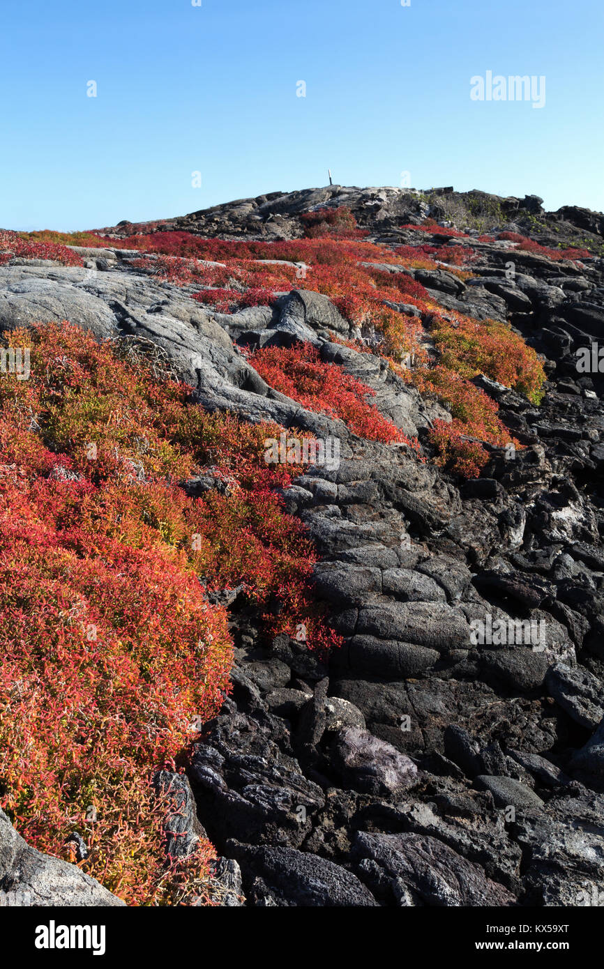 Galapagos Landschaft - Chinesische hat Island, Galapagos Inseln Ecuador Südamerika Stockfoto