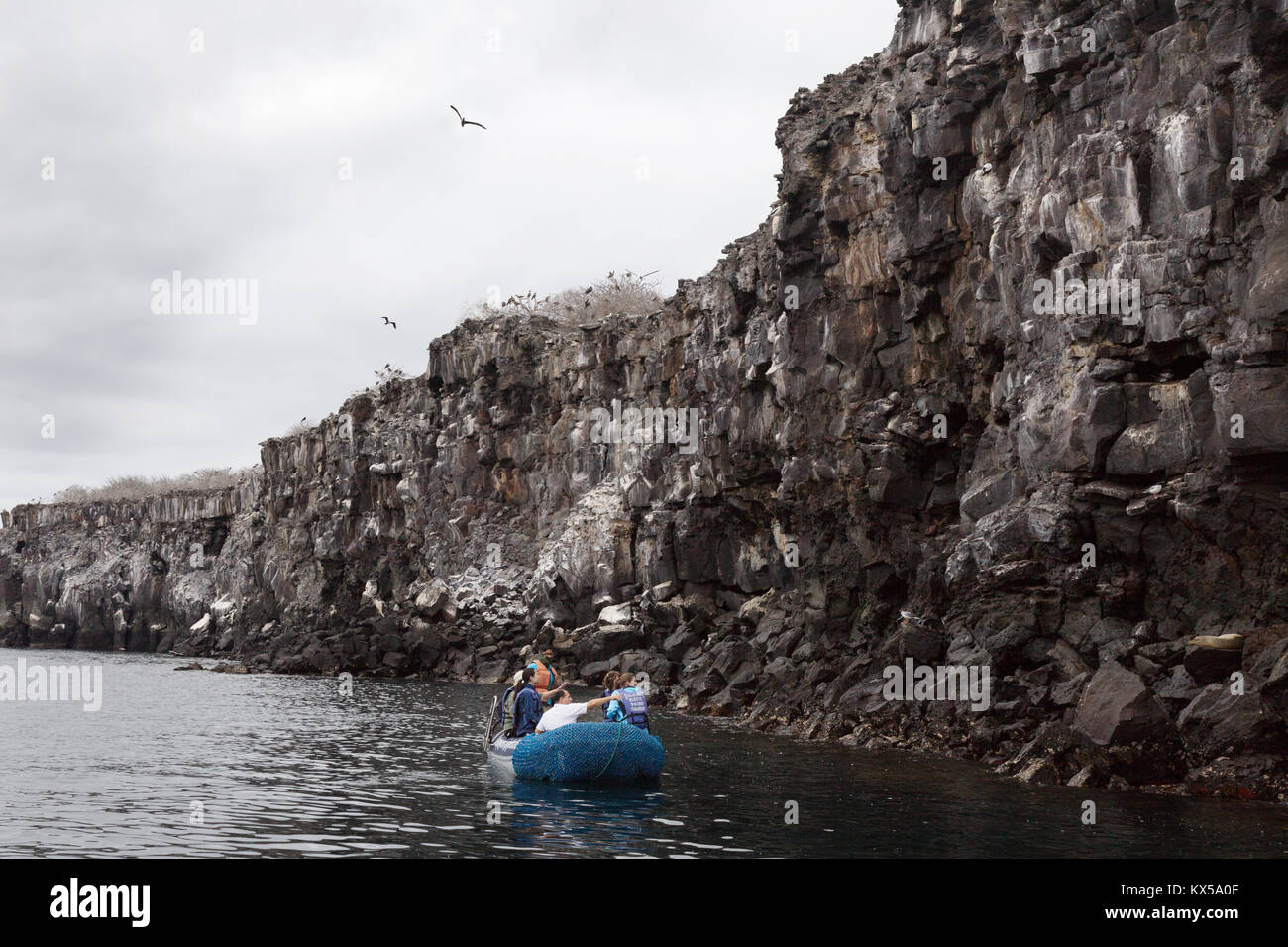 Touristen in einem Boot auf der Suche nach Vögel auf das Lavagestein Klippen, Genovesa Island, Galapagos Inseln Ecuador Südamerika Stockfoto