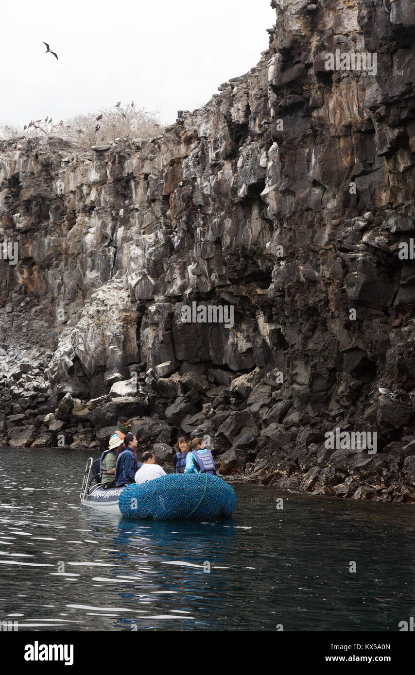 Touristen in einem Boot auf der Suche nach Vögel auf das Lavagestein Klippen, Genovesa Island, Galapagos Inseln Ecuador Südamerika Stockfoto