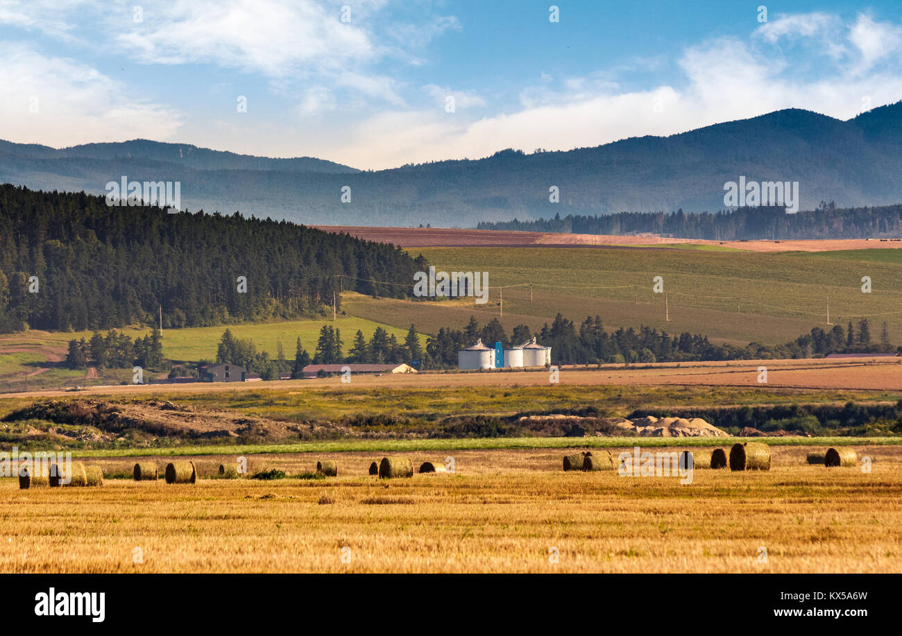 Landwirtschaftliche Felder der Slowakei. Schöne agrarische Landschaft Landschaft Stockfoto