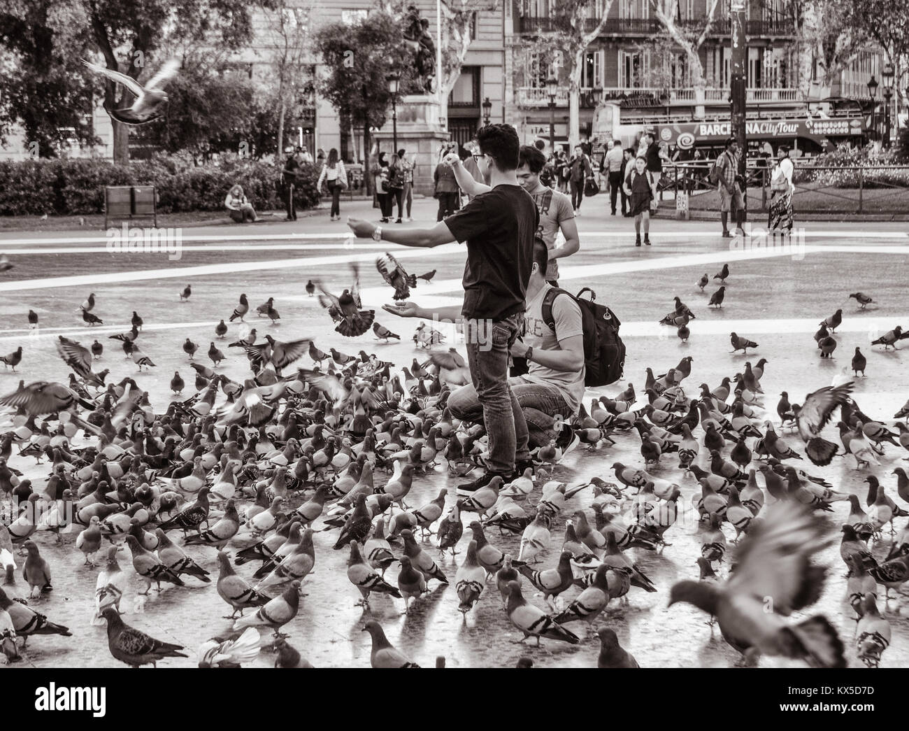 Touristen füttern Tauben in der Plaça de Catalunya in Barcelona, Spanien Stockfoto