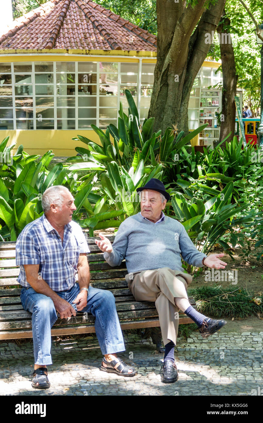 Lissabon Portugal, Lapa, Estrela, Jardim da Estrela, Park, botanischer Garten, Bank, Hispanic, Einwanderer, Männer männlich, Senioren, reden, Freunde, Hispanic Stockfoto