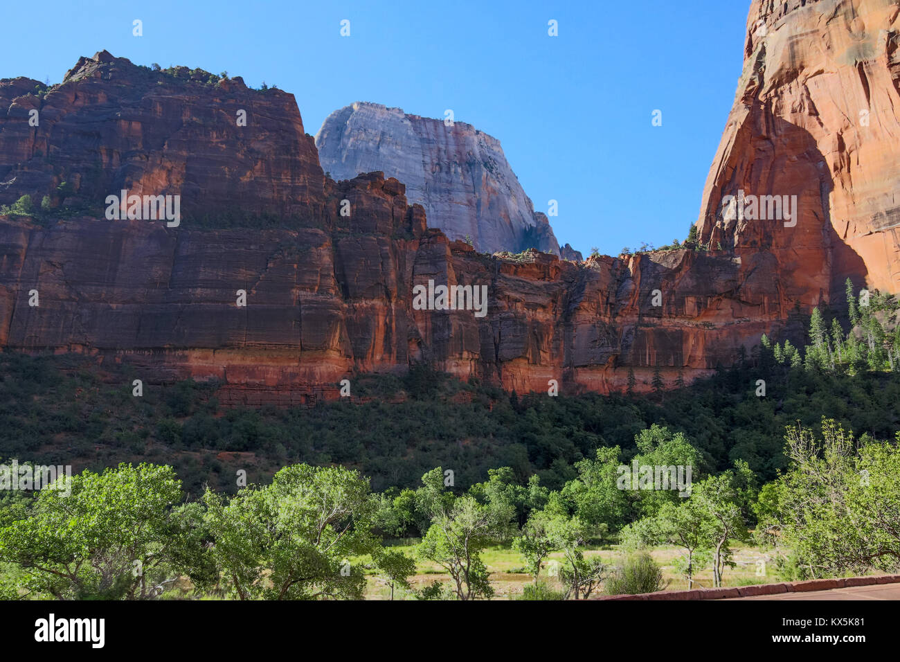 Gebirgsformationen auf dem Wanderweg in Zion Canyon Stockfoto