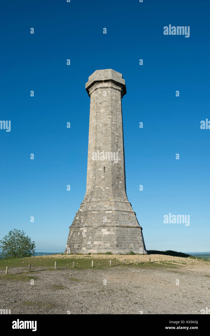 Die Hardy Denkmal errichtet wurde 1844 in Erinnerung an Vizeadmiral Sir Thomas Masterman Hardy, Flag Kapitän der HMS Victory in der Schlacht von Trafalgar. Stockfoto