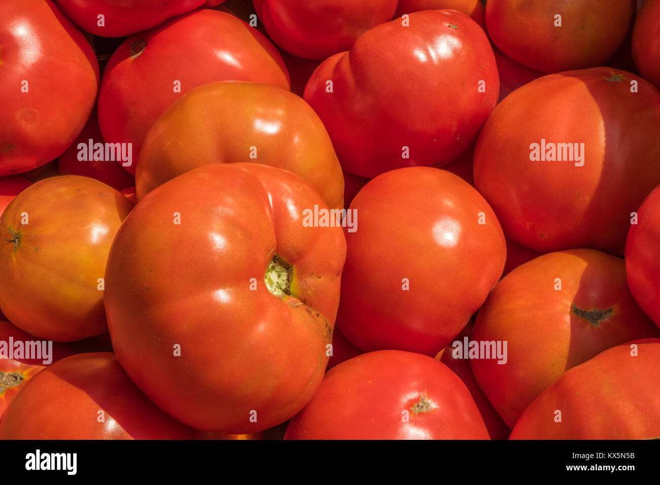 Gemüse umrahmt, und ist bereit zu einem lokalen food bank zu versenden Stockfoto