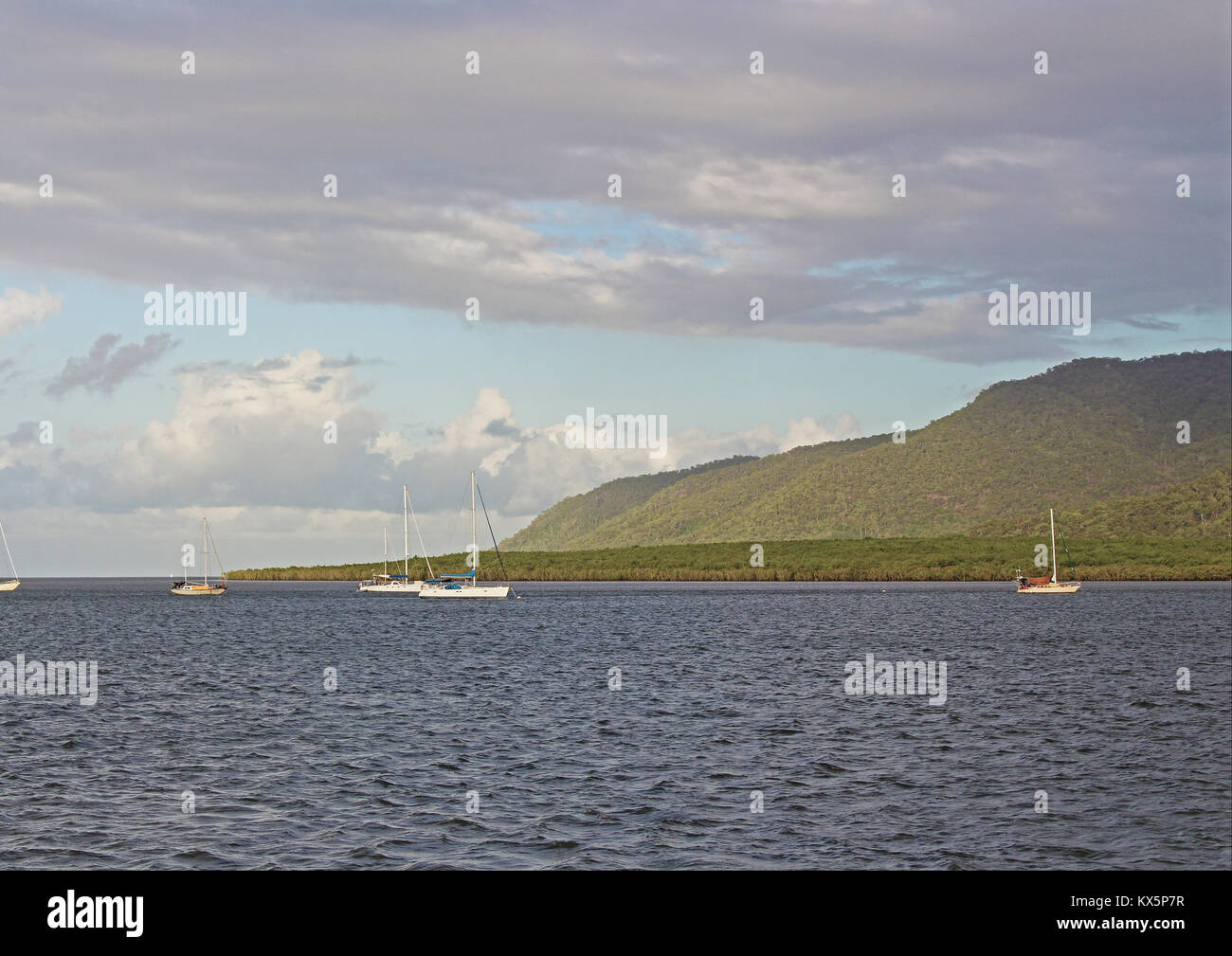 Die hellen späten Sonnenlicht auf dem Grün von Trinity Inlet Osten bei Dämmerung auf Marlin Marina Quay in Cairns, QLD, Australien Stockfoto