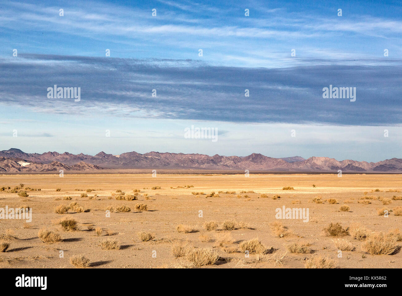 Mojave National Preserve Stockfoto