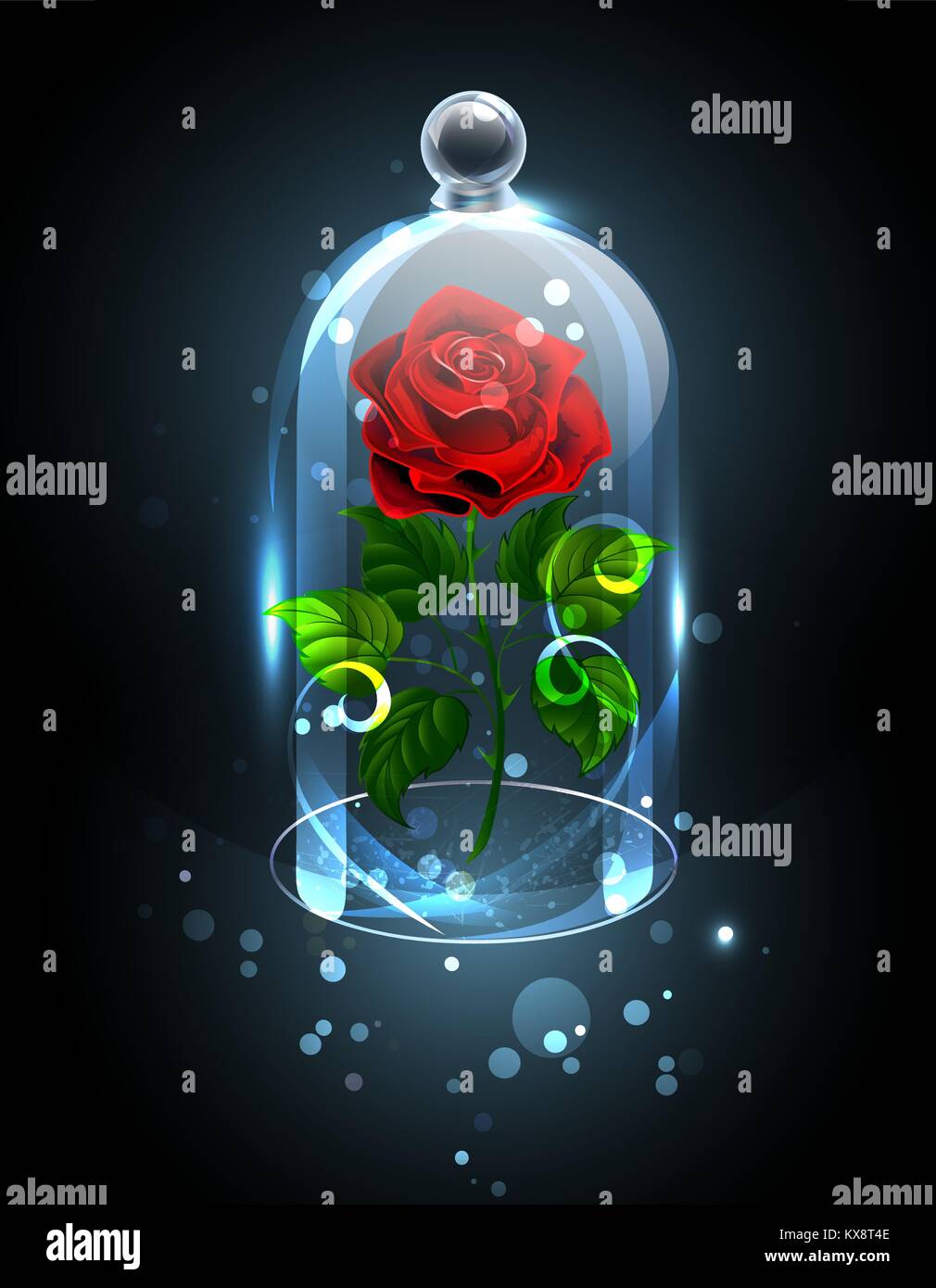 Rot, ewige Rose unter einem funkelnden Kristall Kuppel auf einem dunklen Hintergrund. Rote Rose. Vector Illustration. Stock Vektor