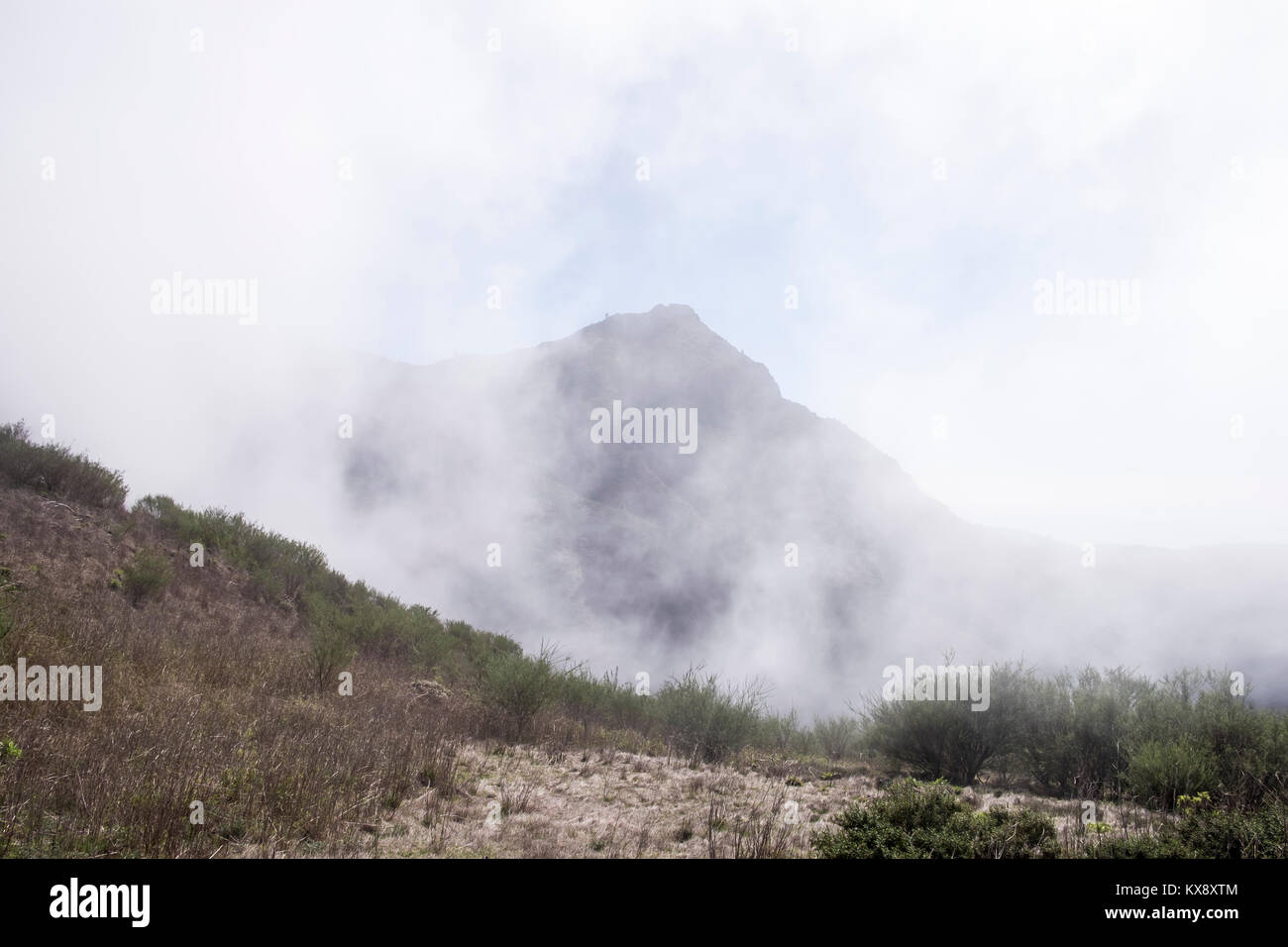 Nebel und Wolken weht in rund um den Monte Del Agua in Teno, Santiago del Teide, Teneriffa, Kanarische Inseln, Spanien Stockfoto