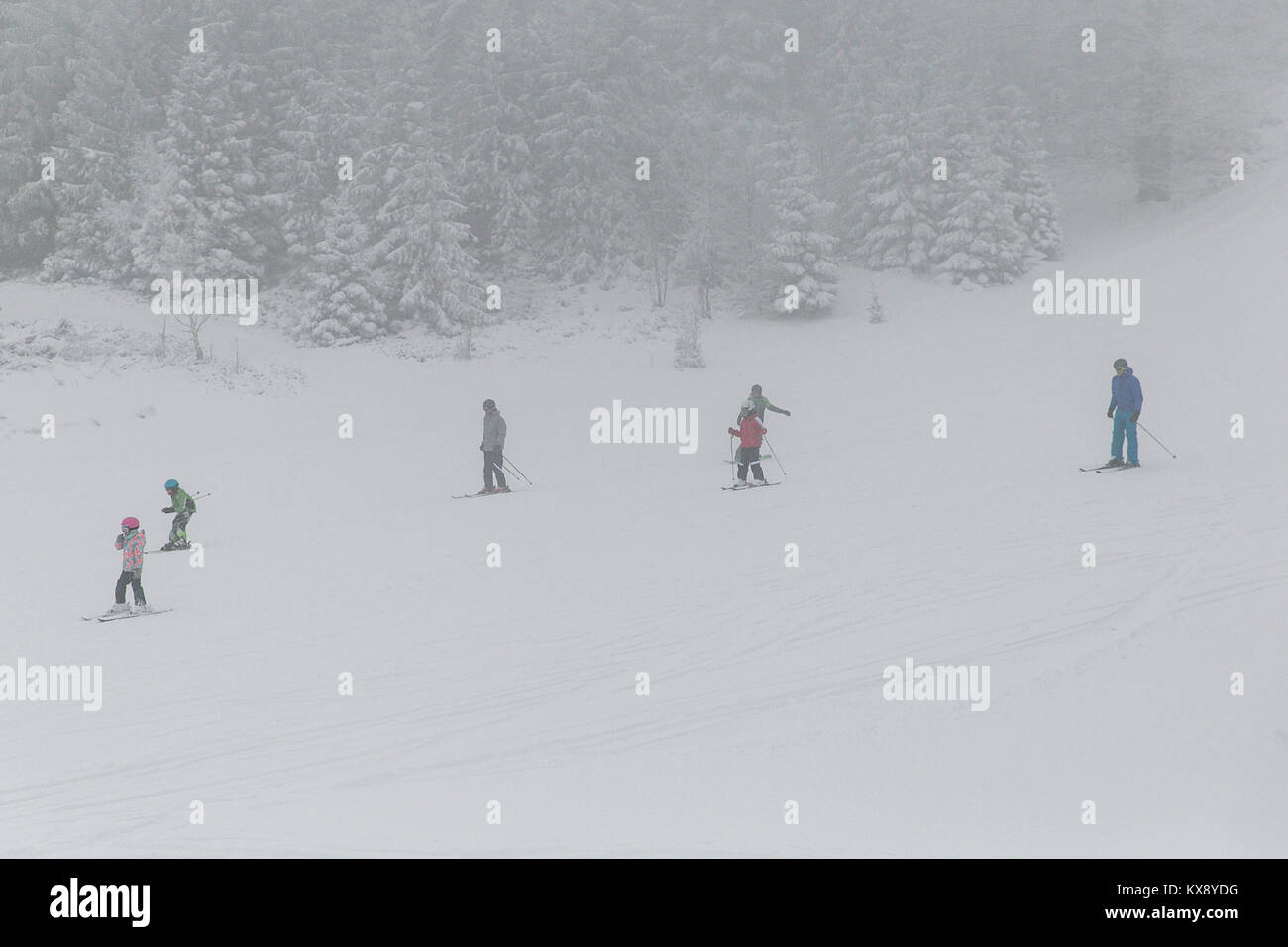 Skifahren und Snowboarden auf den nebligen Pisten in Schnee und Nebel Skrzyczne Berg in Szczyrk eine der polnischen Krone Spitzen im Schlesischen Beskiden abgedeckt Stockfoto